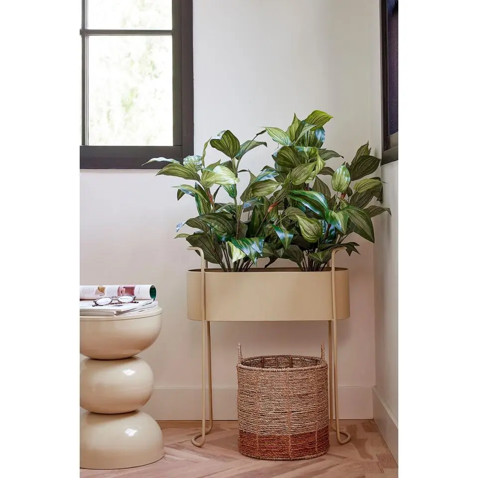 Mica Decorations Moritz Bloempot - L55 x B24 x H65 cm - Beige
