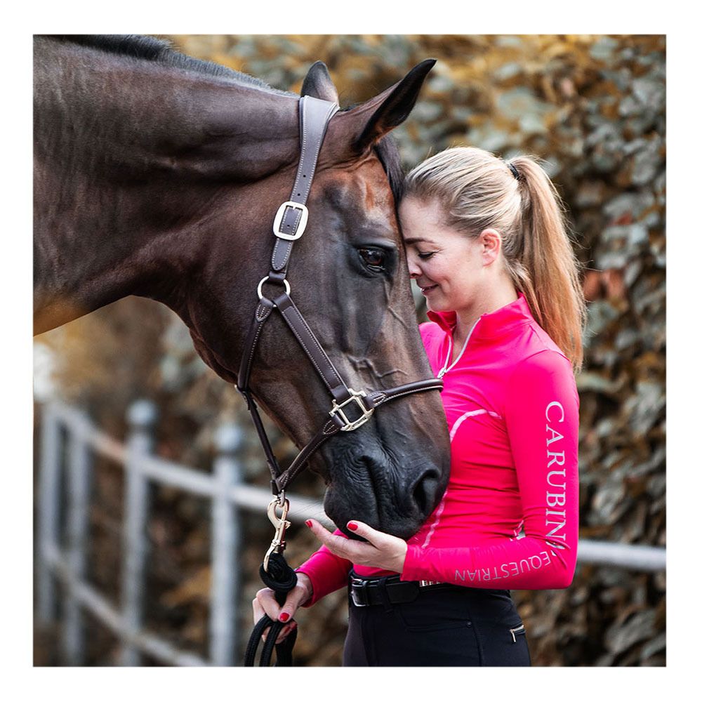 Kentucky FLEXIBLE - Licol brown