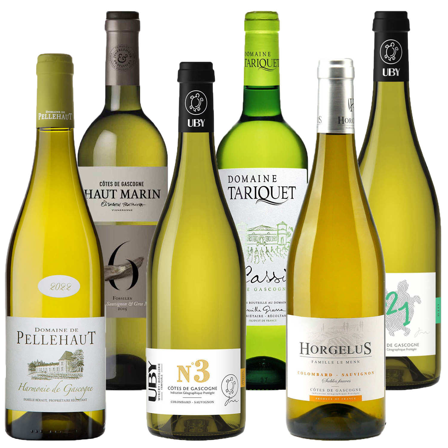 6 vins blancs secs et fruités de Gascogne