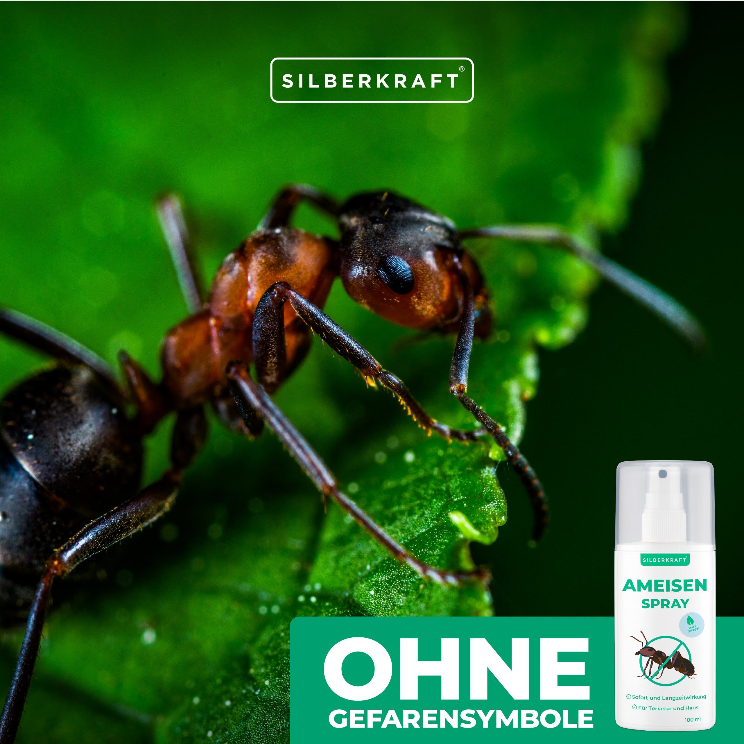 SILBERKRAFT Ameisenspray