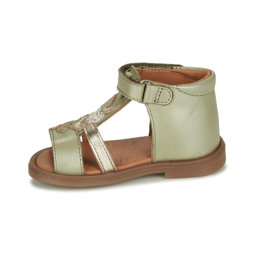 GBB - IGALE - Vert