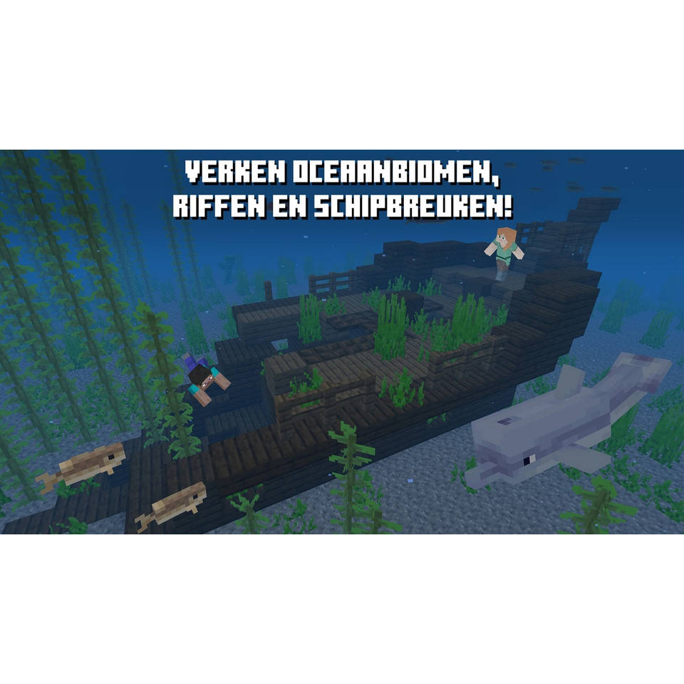 Minecraft Nintendo Switch
