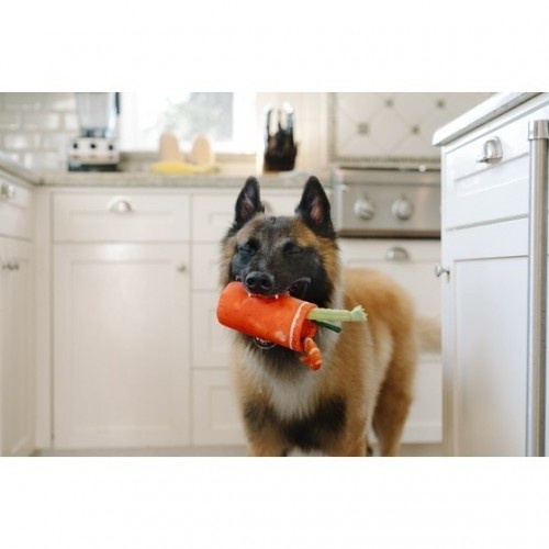 Brinquedo de pelúcia vermelho Boodymari da PetLifestyle para cães.