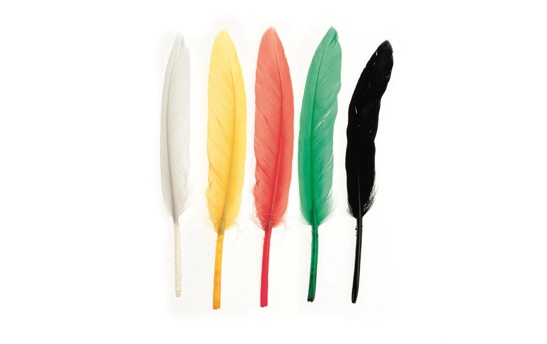 Federn IndianerFedern in verschiedenen Farben
