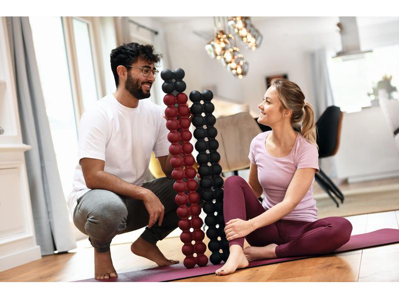 SISSEL Spinefitter Mini Anthrazit Faszientrainer
