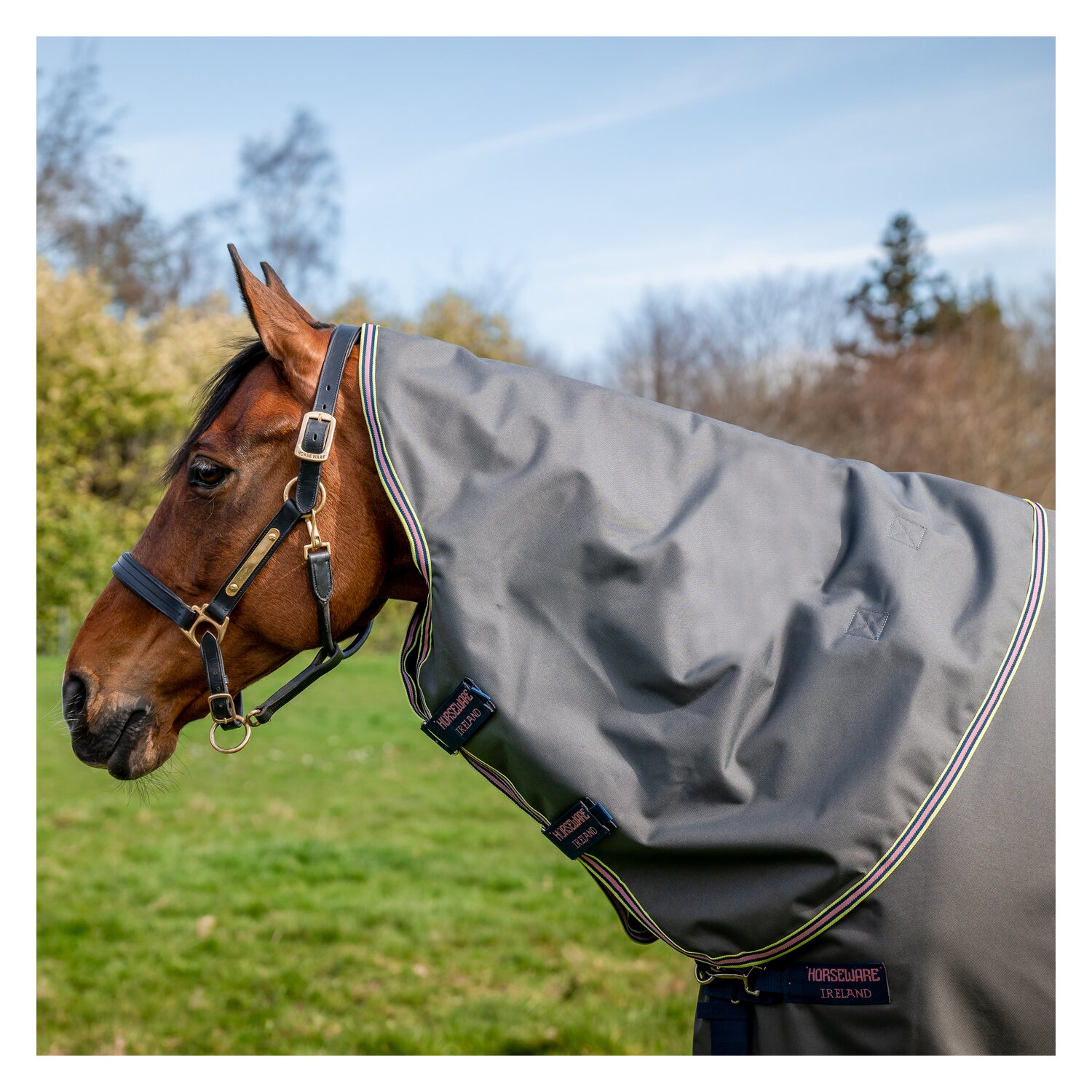Horseware Halsteil AMIGO Bravo 12 Lite - shadow/navy/rose