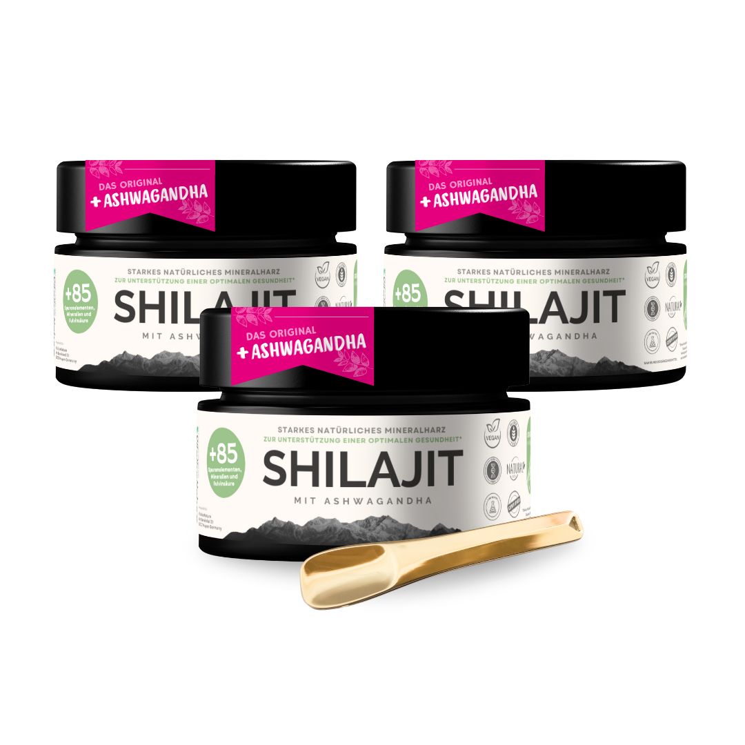 VitalizeNature Shilajit mit Ashwagandha