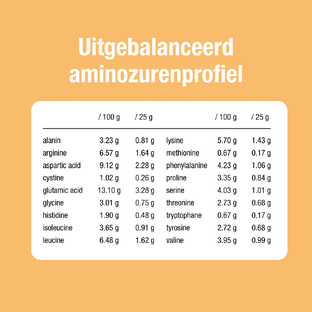 Purasana Vegan Protein Poeder Erwt Naturel 400GR