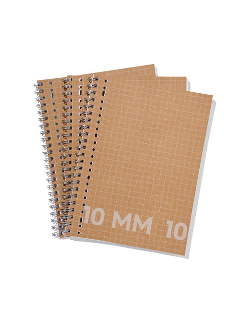 cahiers kraft A4 quadrillés 10 mm - lot de 3