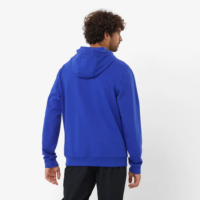 SALOMON LOGO PERFORMANCE  Sweatshirt à capuche pour homme