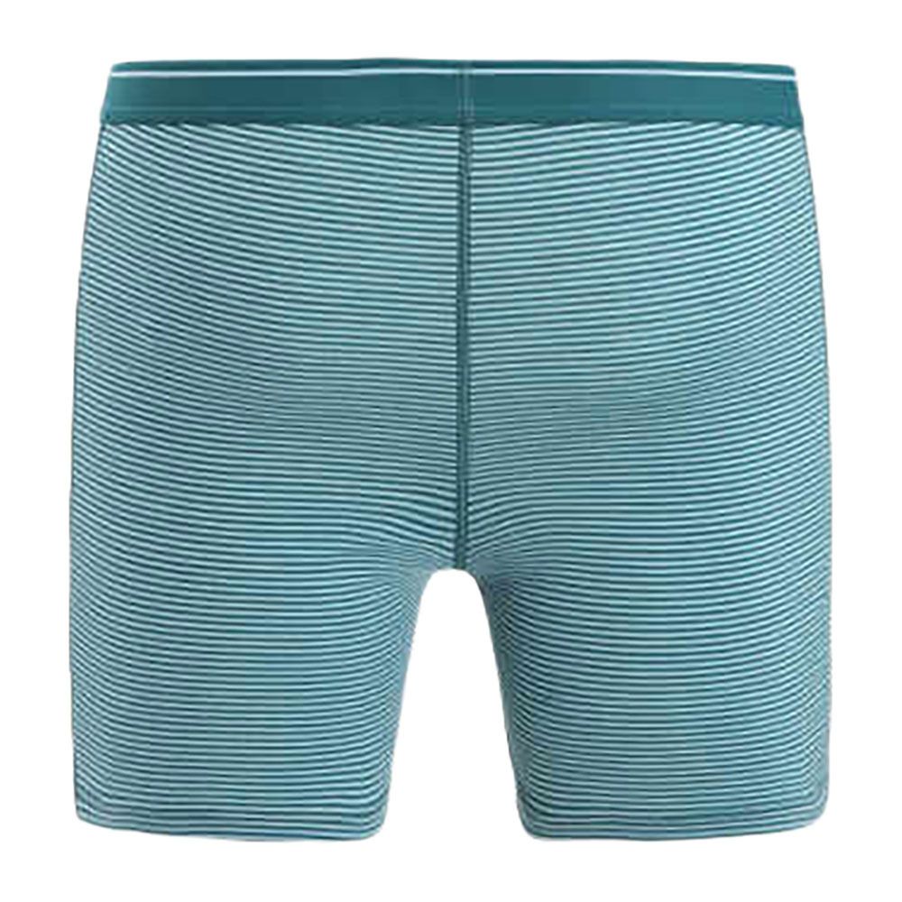 Icebreaker ANATOMICA LONG - Boxer Homme grnglr/astblu/s