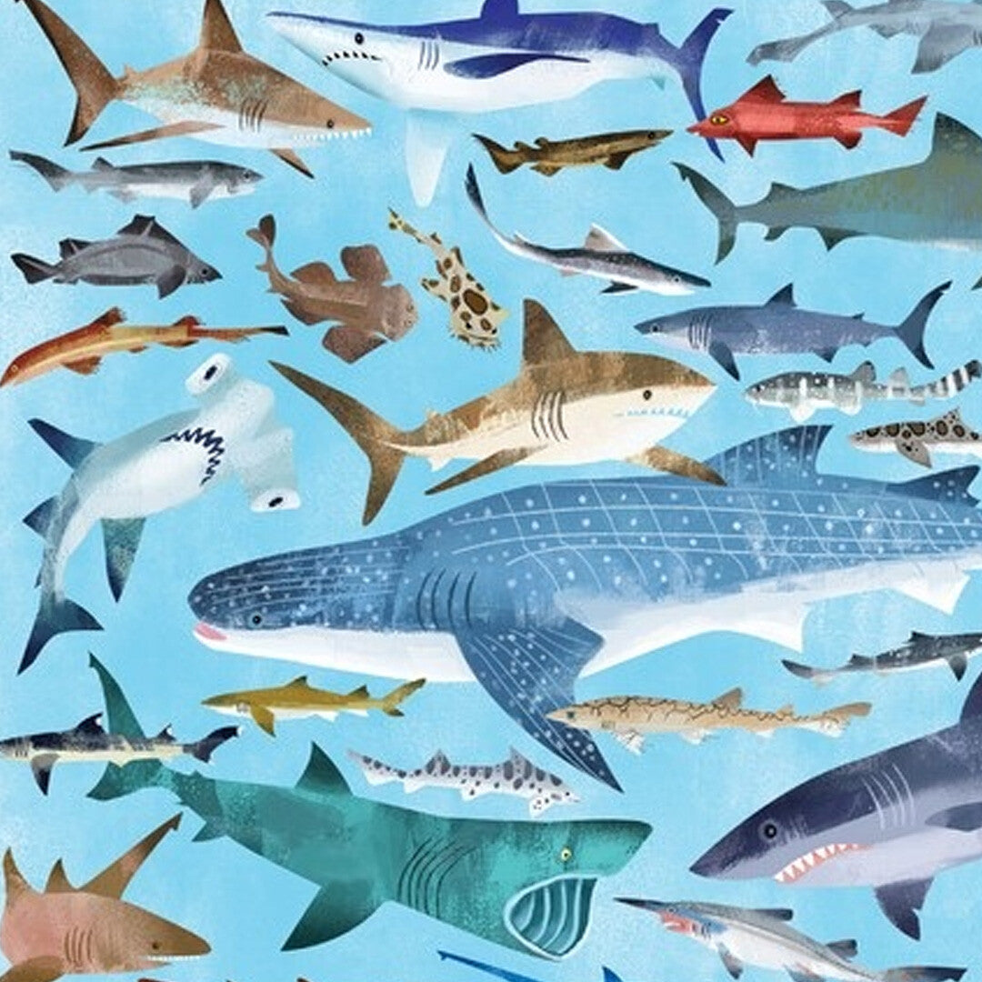 Crocodile creek puzzel 36 haaien - 100st