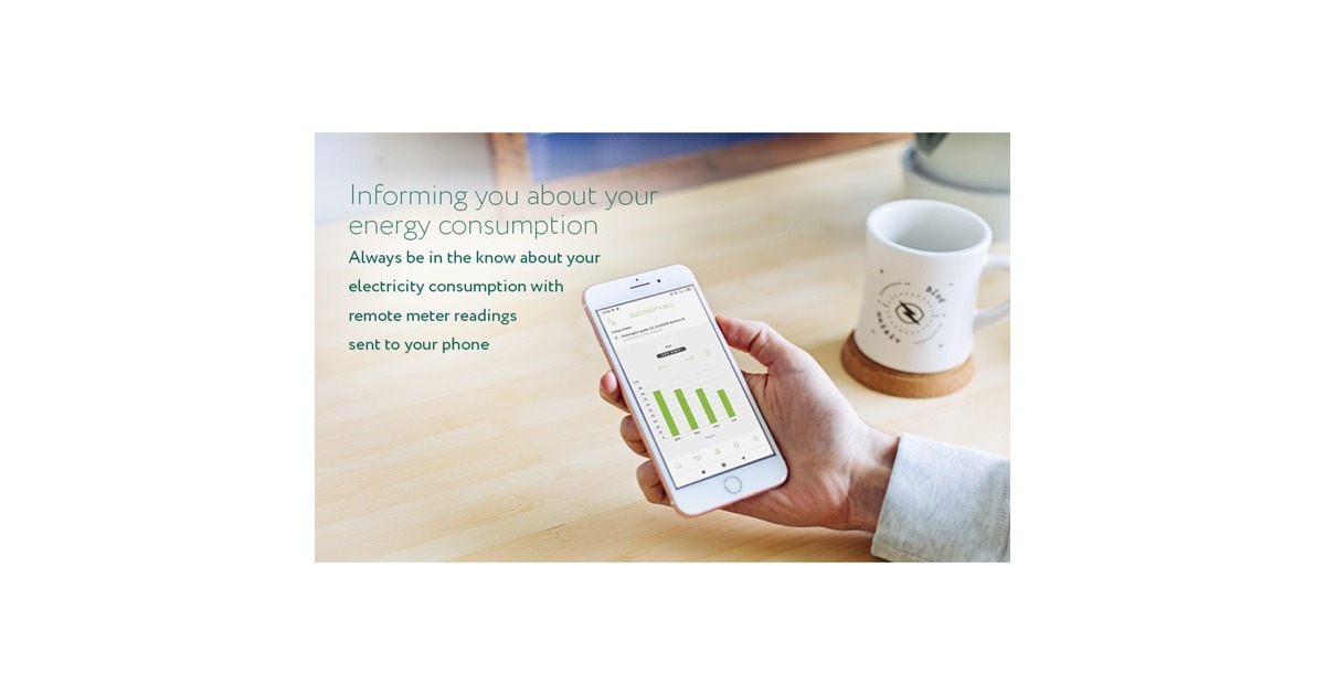 FrientElectricity Meter Interface 2, P1 energiebesparing  (Wit, Zigbee 3.0)