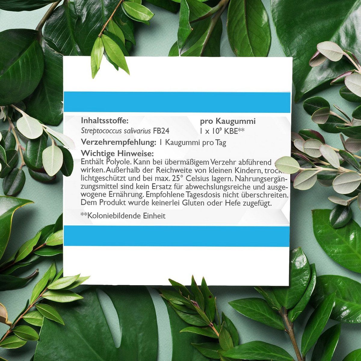 CODE Vital Probio Atem-Fresh gegen Mundgeruch