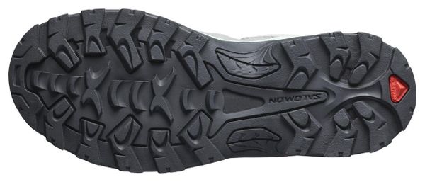 Chaussures Randonnée Salomon Quest Rove GTX Gris Femme