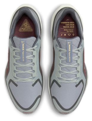 Chaussures Running Nike Pegasus 41 GTX Gris/Bleu Homme