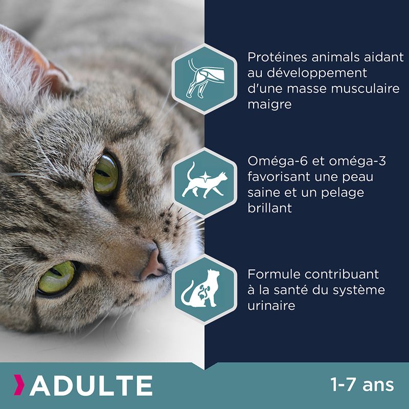 Eukanuba Top Condition 1 + Adult, poulet