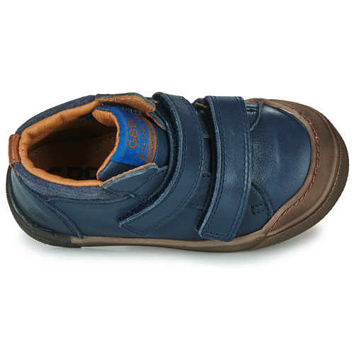 GBB - TERENCE - Bleu
