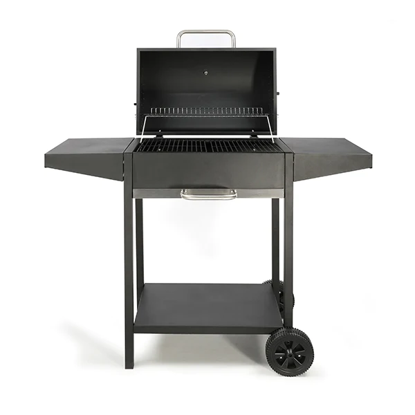 Barbecue à charbon rectangle DOC250 Livoo