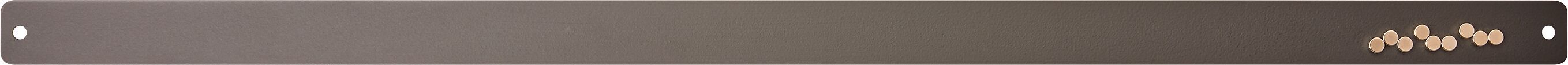 ELEMENT Magnetleiste - Schwarz / B: 60.0 cm x T: 0.2 cm x H: 2.5 cm