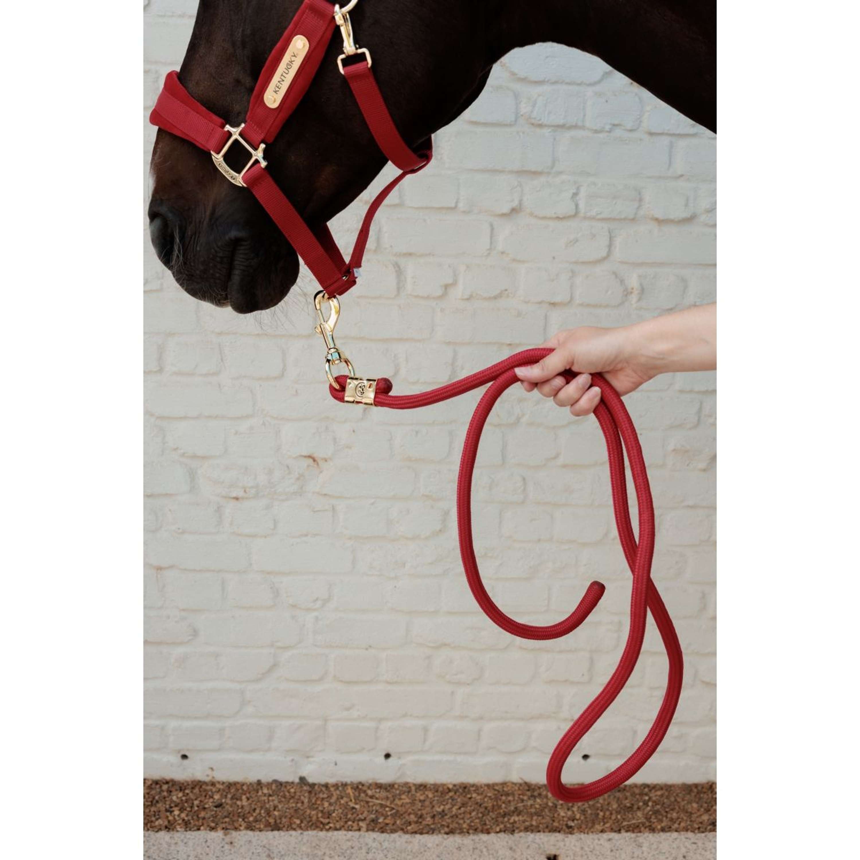 Kentucky Halstertouw Basic Rood