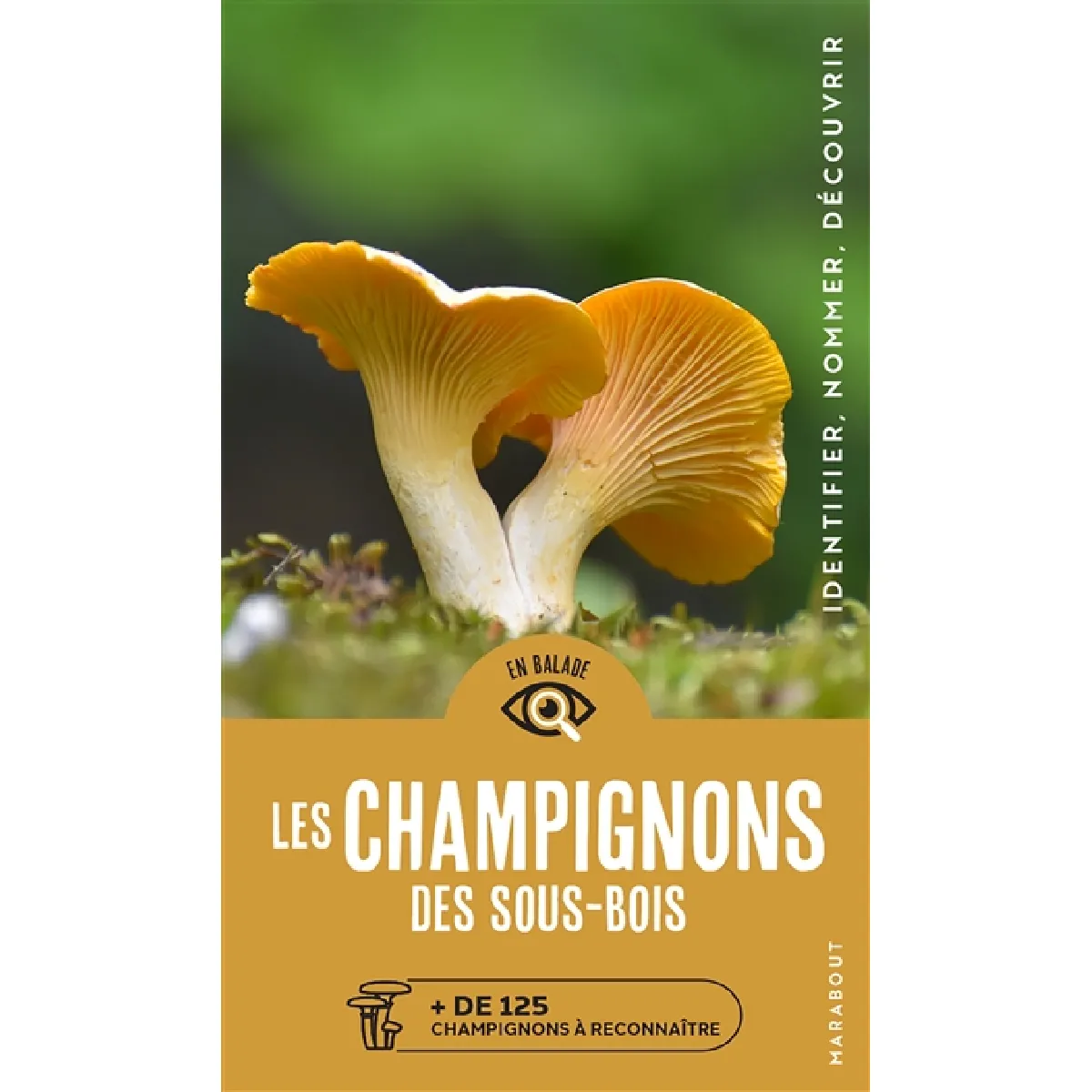 Les champignons des sous-bois : + de 125 champignons à reconnaître : identifier, nommer, découvrir
