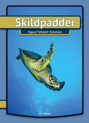 Skildpadder - Sigurd Toftdahl Terkelsen - Bog