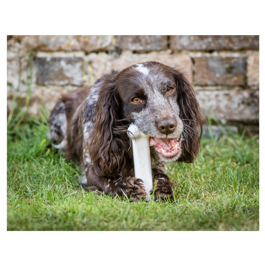 Brinquedo para cães Nylabone Extreme Chew em formato de osso de galinha