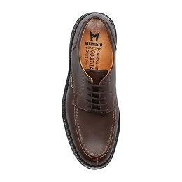 phoebus  ANTICA 8851  DARK BROWN