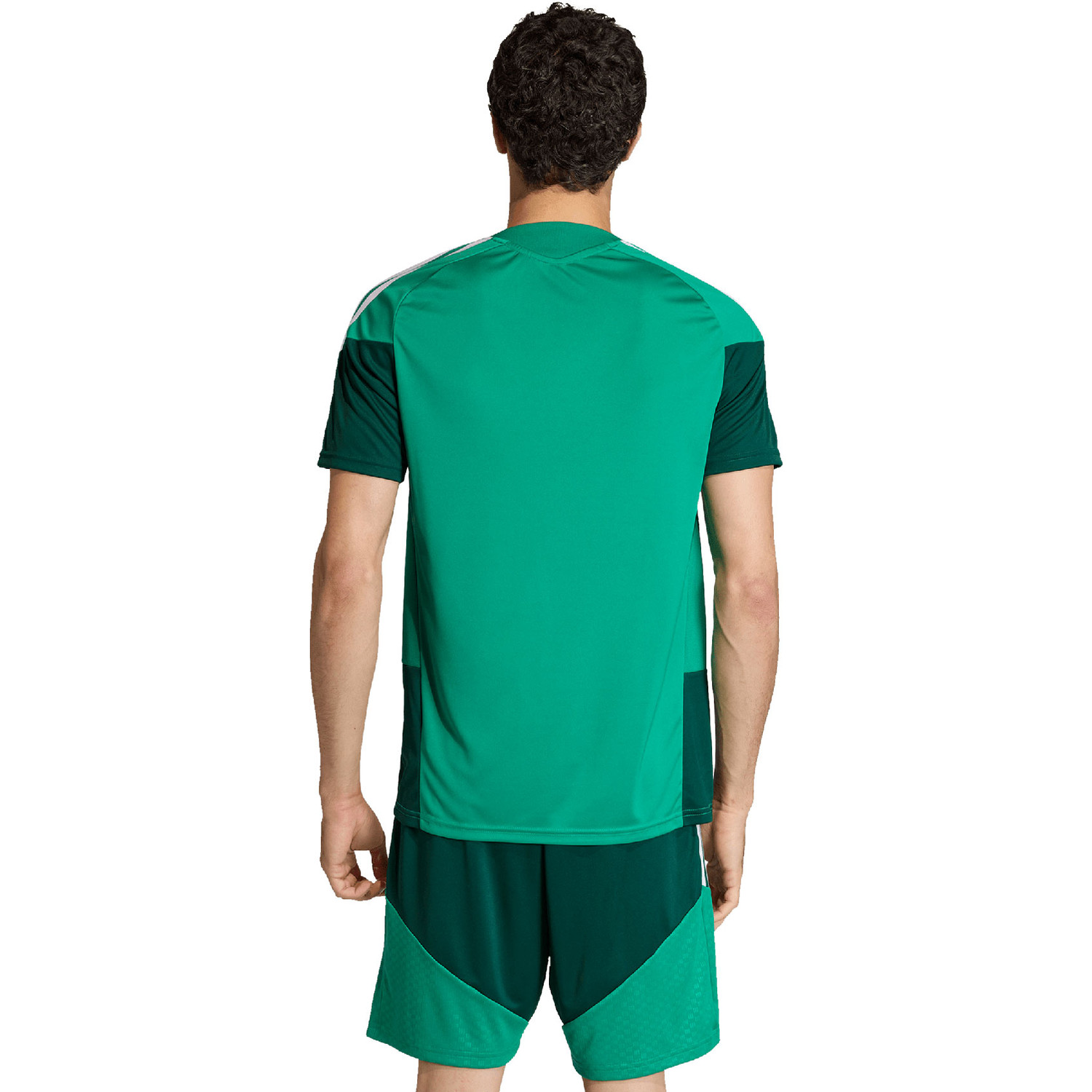 adidas Algerije Trainingsset WK 2026