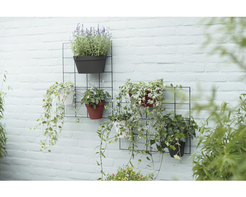 Wandlamp elho Loft Urban duo L 28 cm kunststof antraciet