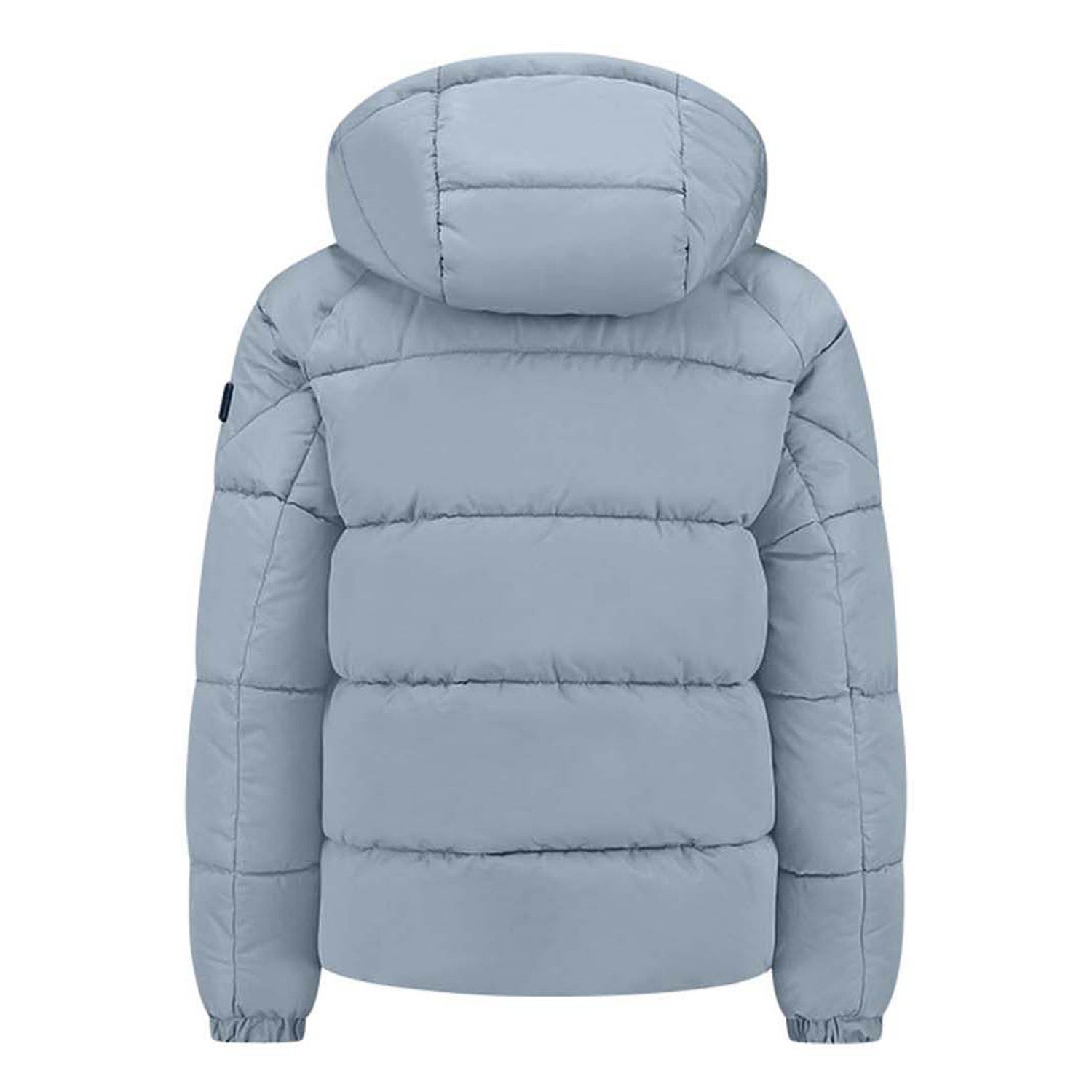 Malelions  Junior Donn Puffer