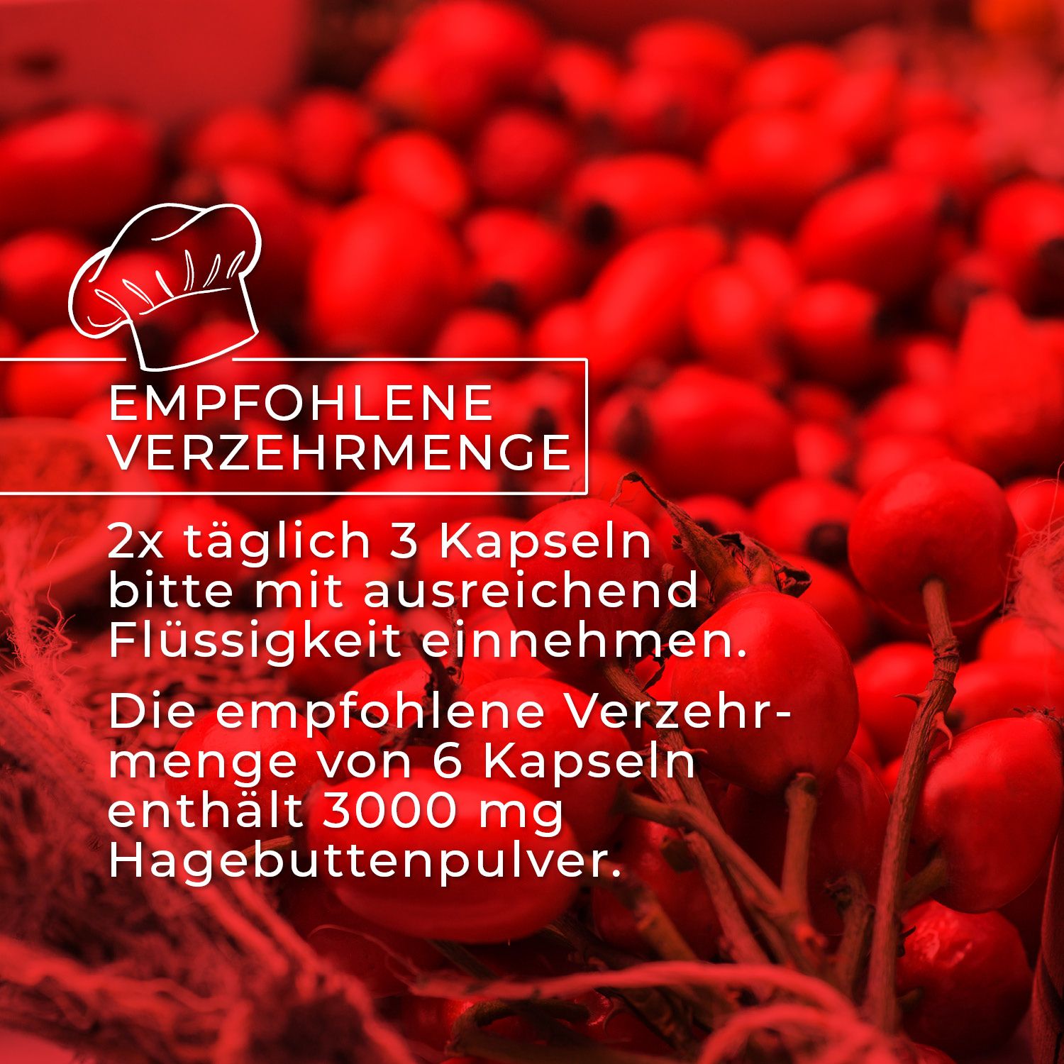 GreatVita Bio Hagebuttenpulver Kapseln
