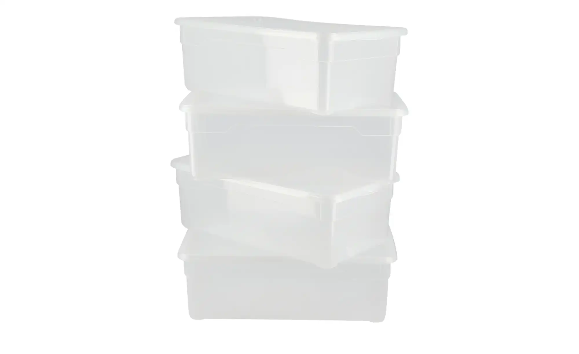 Rotho Aufbewahrungsbox, 4er Set