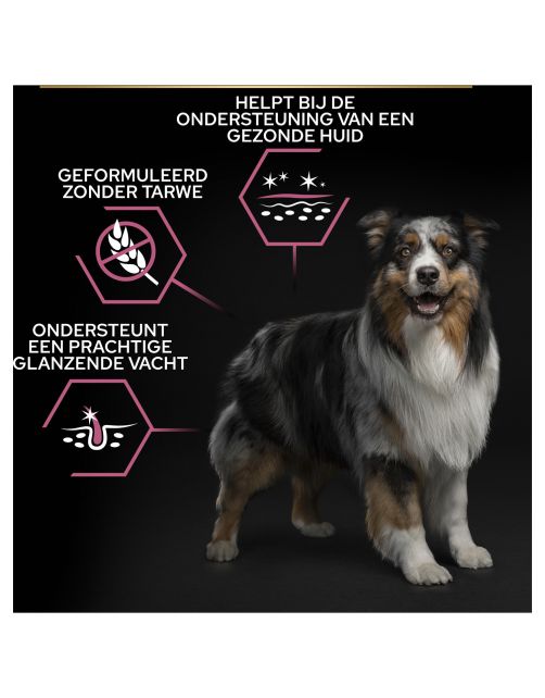 Pro Plan Dog Adult Medium Breed Sensitive Zalm - Hondenvoer