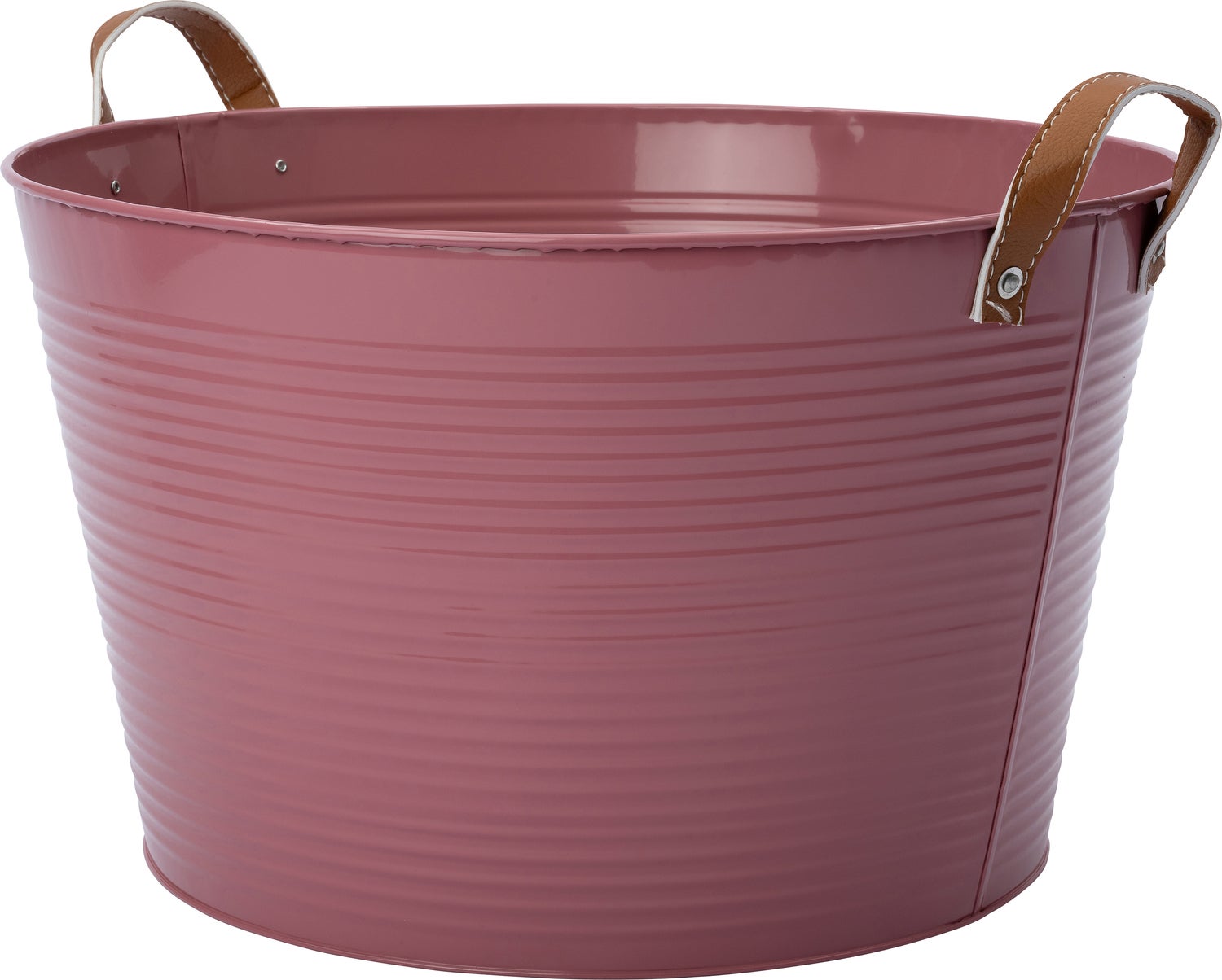 Intratuin plantenteil Radi roze D 38 H 23 cm