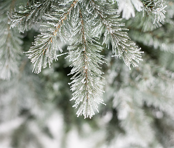 Fichte Frost mit Metallständer, 180 cm