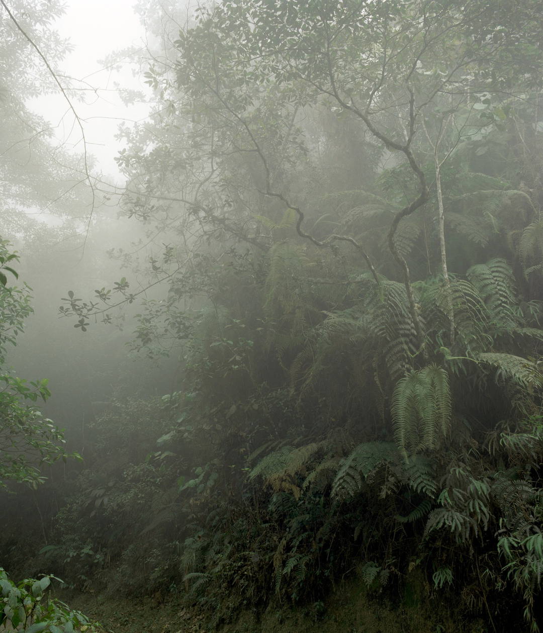 O.T. (Eldorado IV) by Stephanie Kloss - Limited Edition. Edition of: 100. Signed.