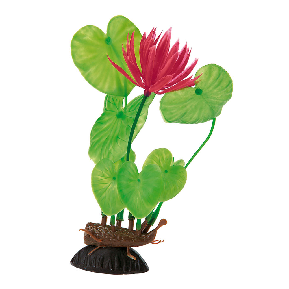 Décoration pour aquariums ferplast blu 9066 - eichhornia plante à fausse fleur