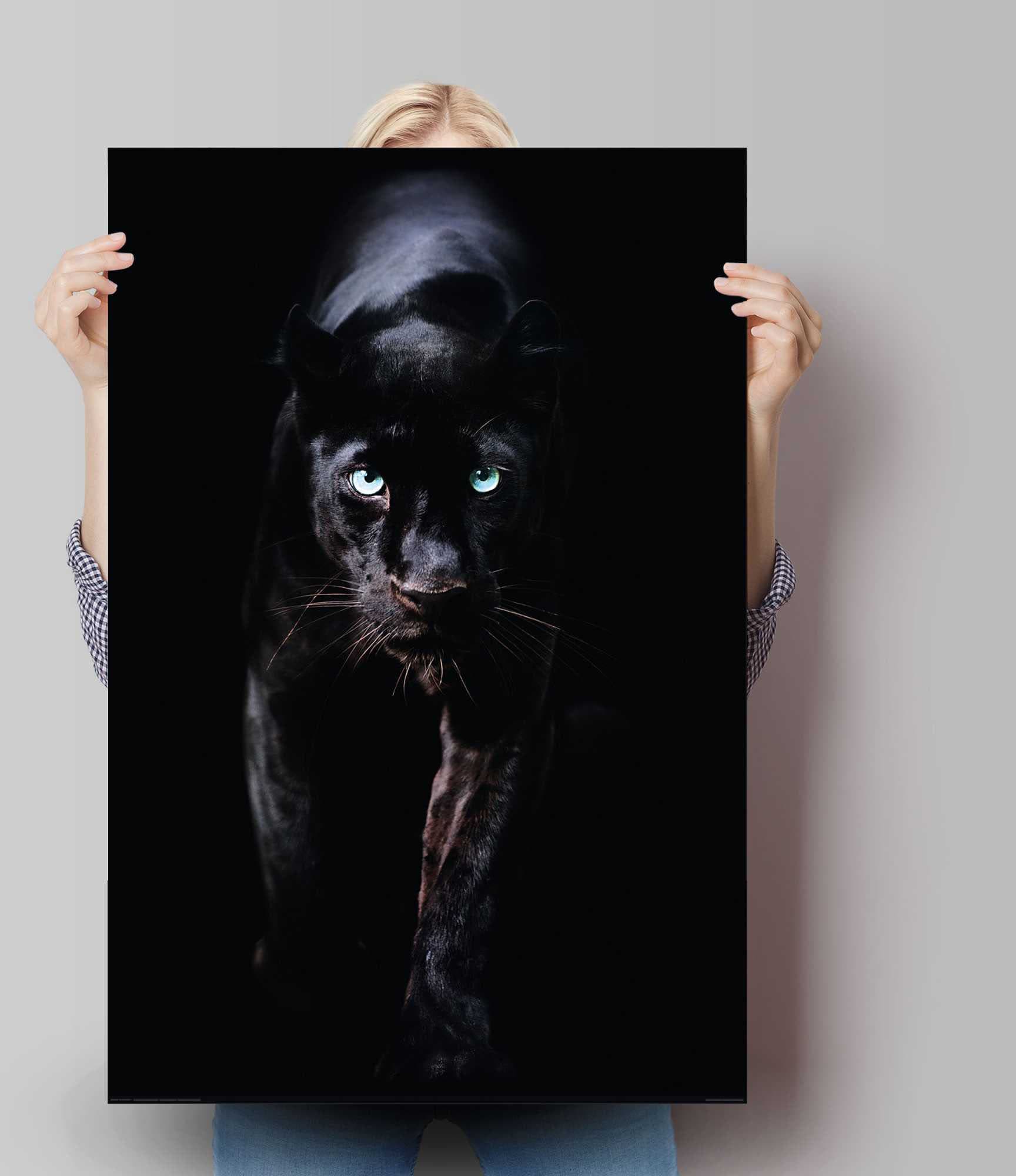 Reinders! Poster »Poster Schwarzer Panther« Tiere 1 Stk. tlg.