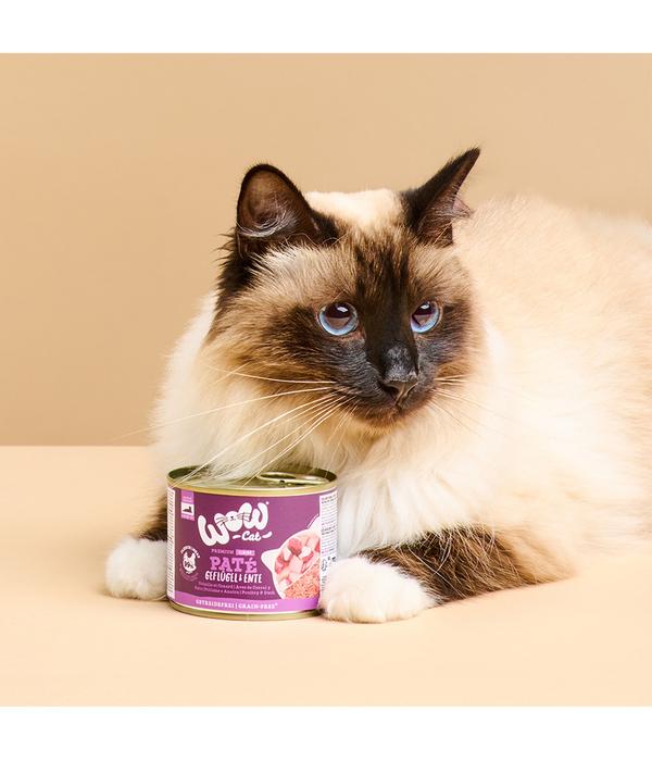 WOW® Cat Nassfutter für Katzen Premium Paté
