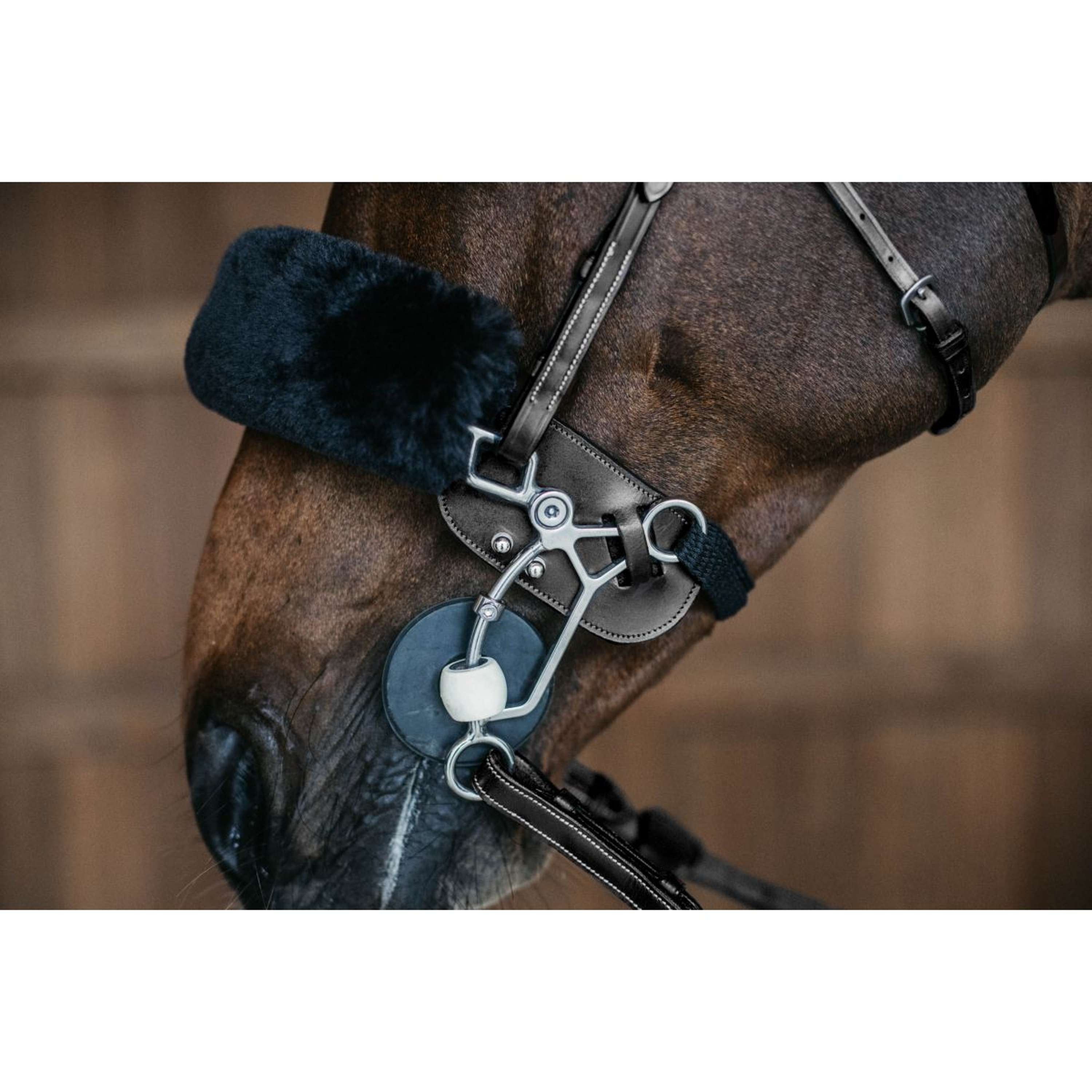 Dyon Hackamore Bescherming Zwart