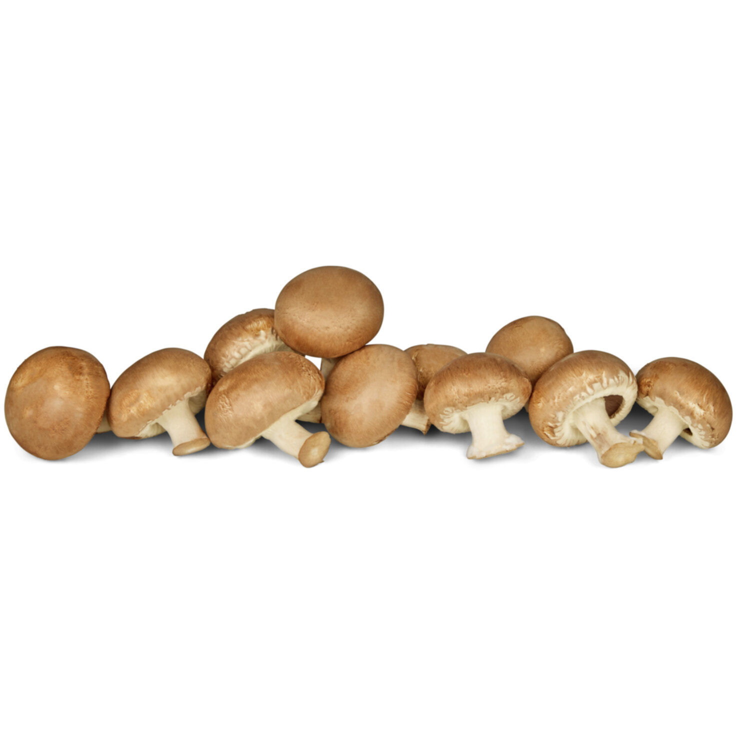 Naturaplan Bio Champignons braun -