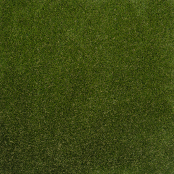 Kunstgras Frankfurt