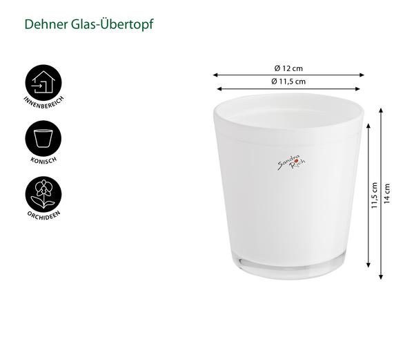 Dehner Glas-Übertopf, konisch, ca. Ø12 cm