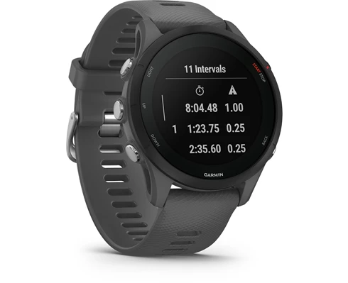 Garmin Forerunner 255 Basic Slate Grey 46mm