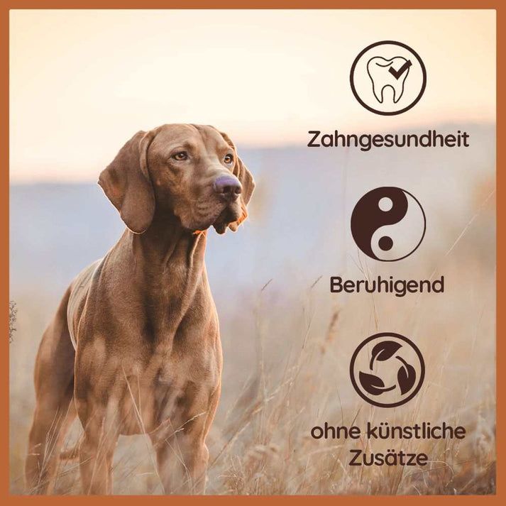 WILDFANG® Kauwurzel aus Baumheide