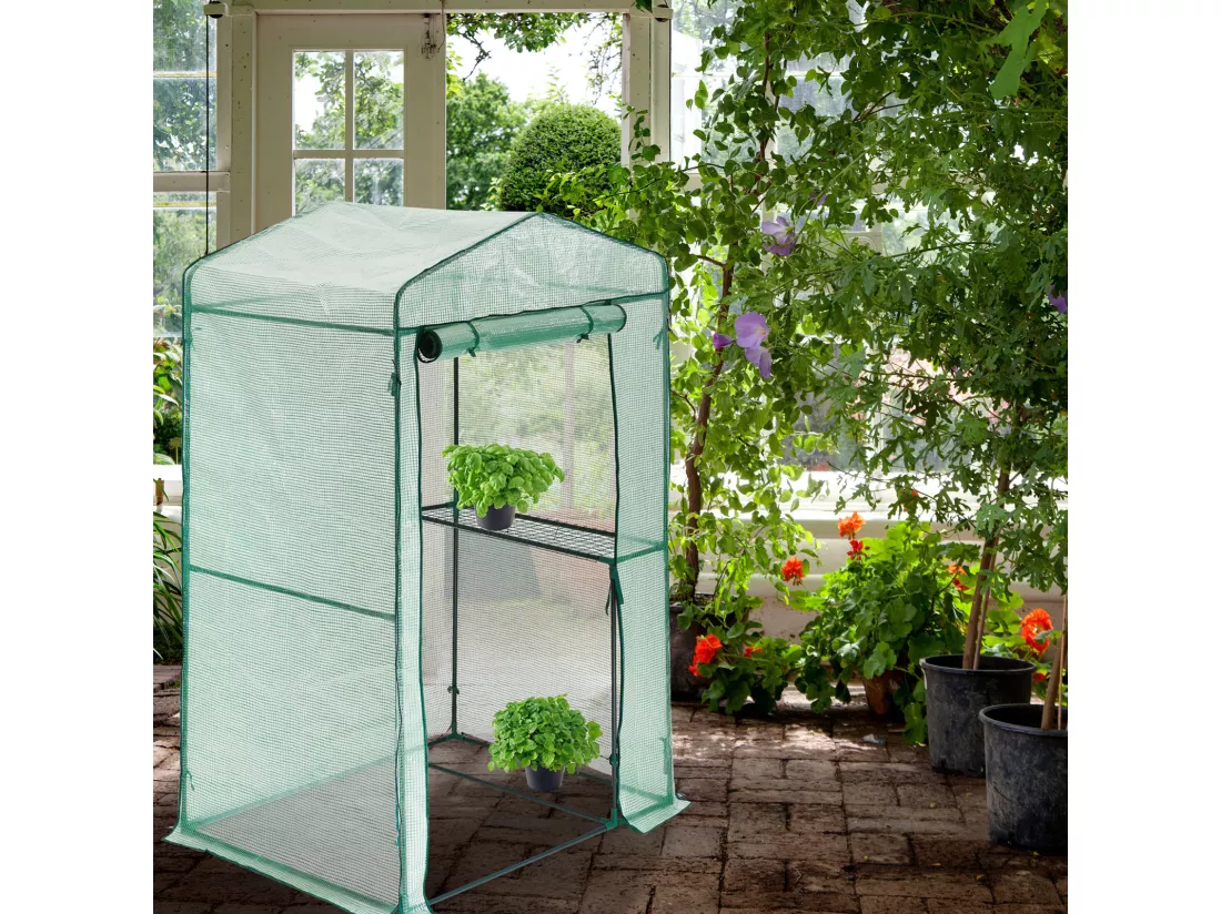 Serre en plastique HATTORO pour jardin, serre, maison pour tomates, verte et transparente
