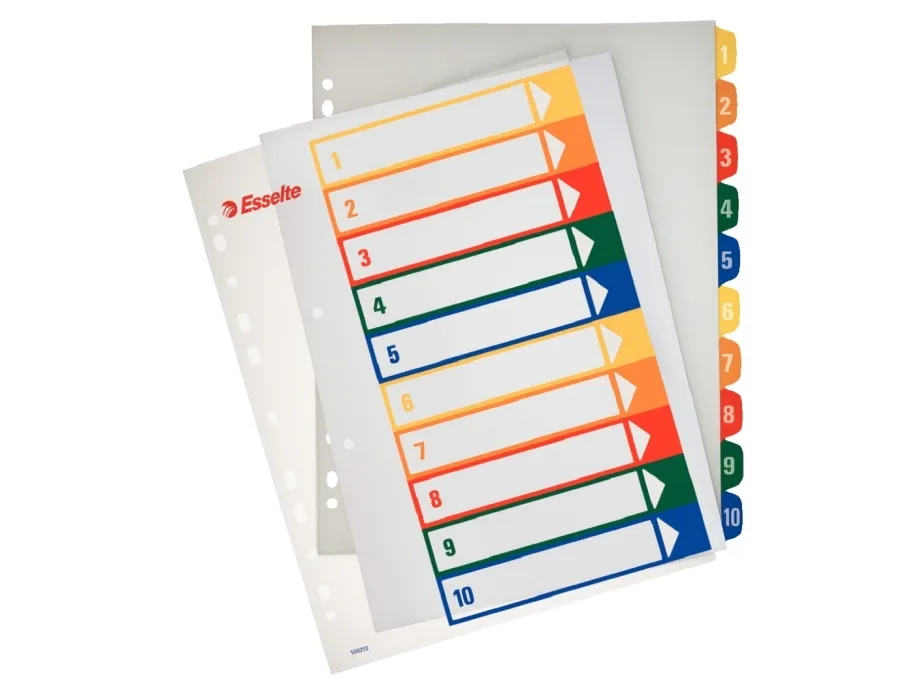 Register PC printbar Esselte PP A4 maxi Flerfarvet - (10 stk.)