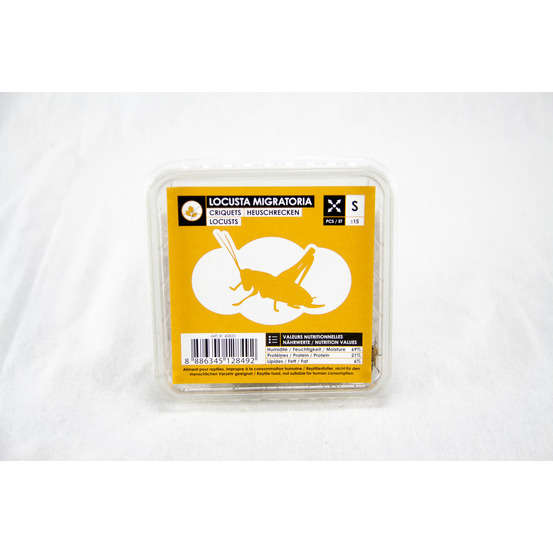 Criquets subadultes pour alimentation reptiles, 10 pièces